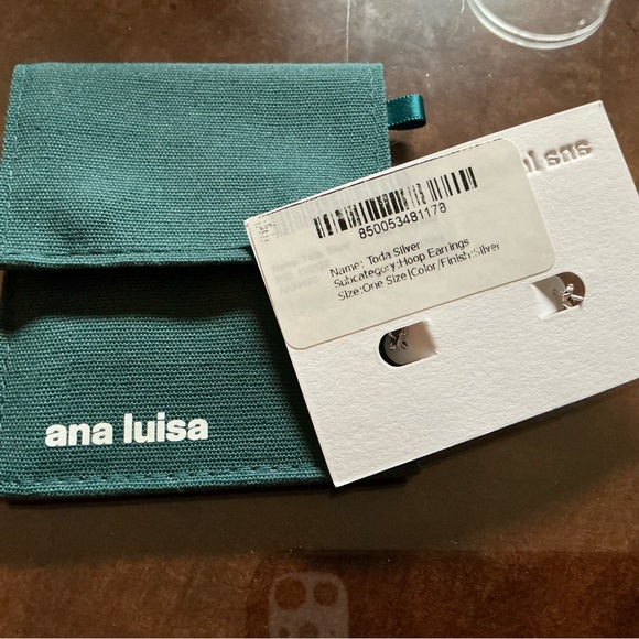 Ana Luisa silver Toda earrings - Picture 5 of 5